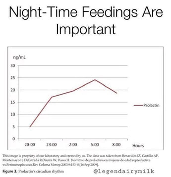 Night-Time Feedings Are Important