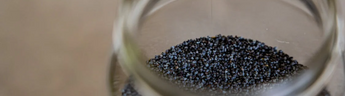 Black Seed is an Herb Used to Increase Milk Production